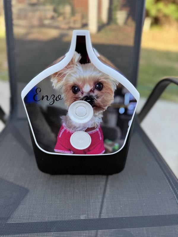 Photo submitted with review of product