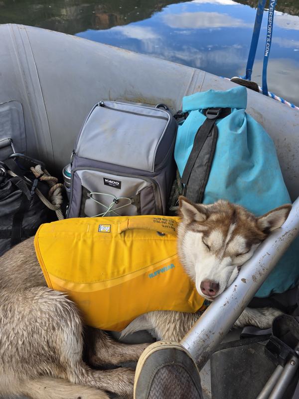 Photo - commentaire 1.