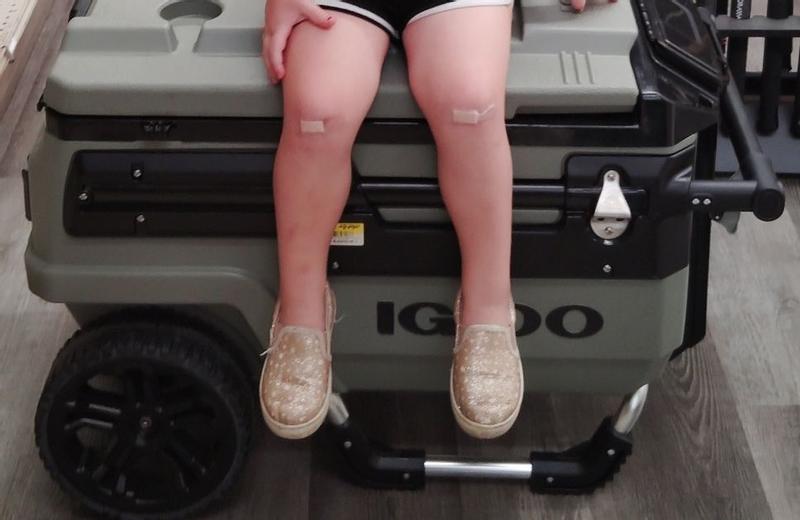 Photo submitted with review of product
