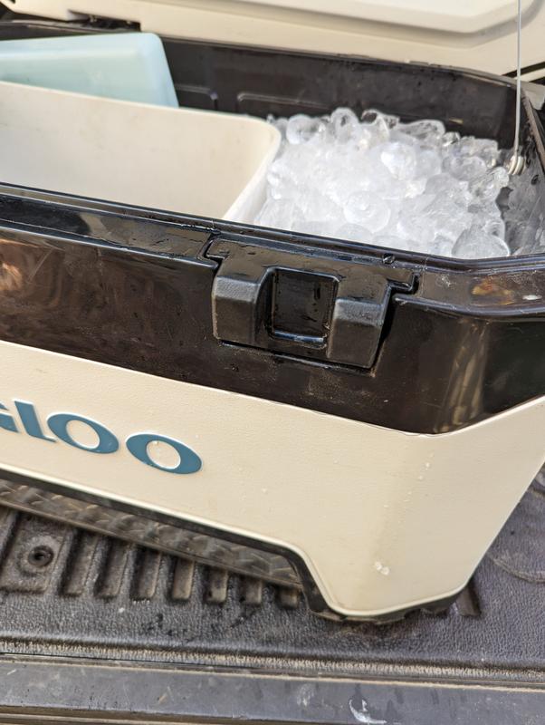 Photo - commentaire 1.