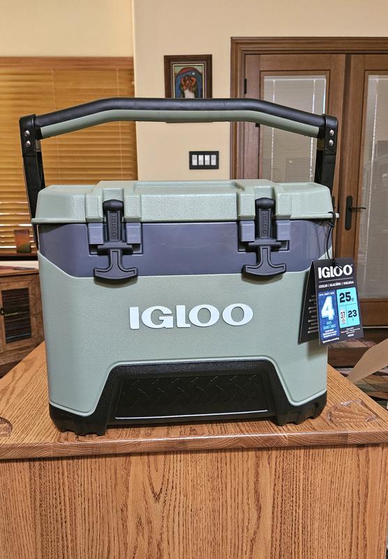 Photo - commentaire 5.