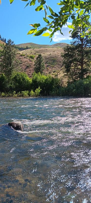 Photo - commentaire&nbsp;2.