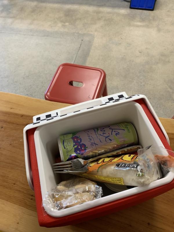 Igloo hot sale 4qt cooler