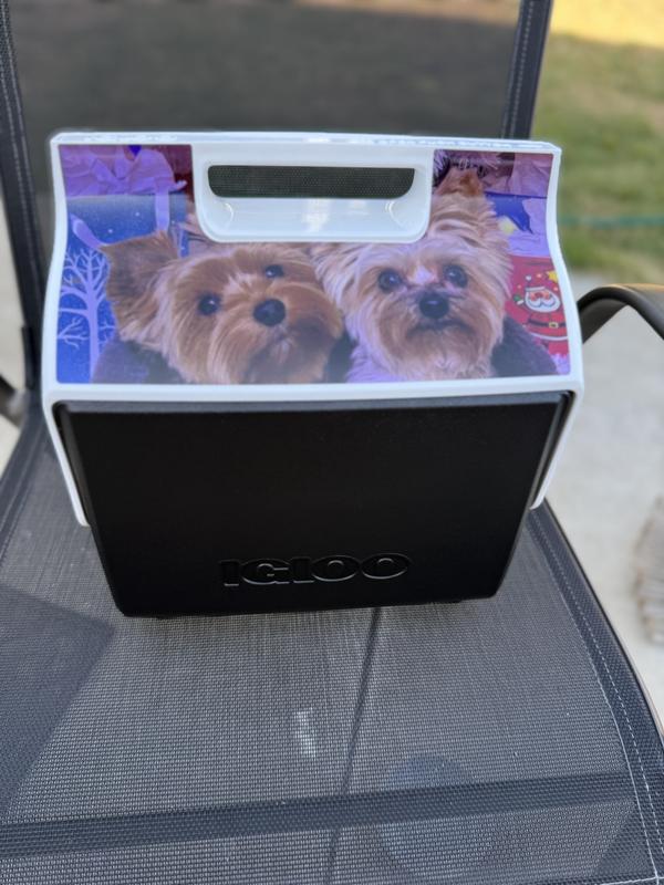 Photo submitted with review of product