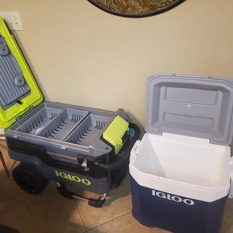 Igloo 16 qt cooler 2024 tray