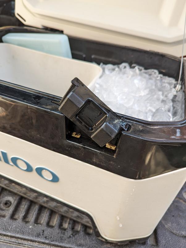 Photo - commentaire 2.