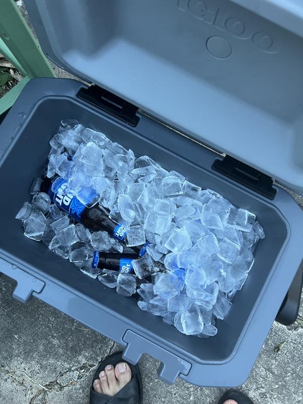 Two bags of ice and a 12