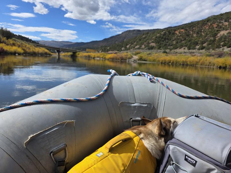 Photo - commentaire 2.