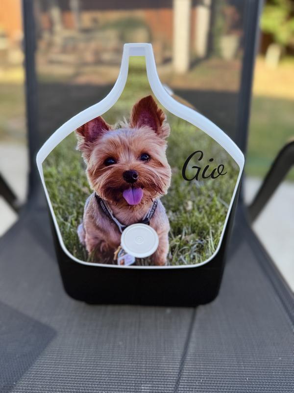 Photo submitted with review of product