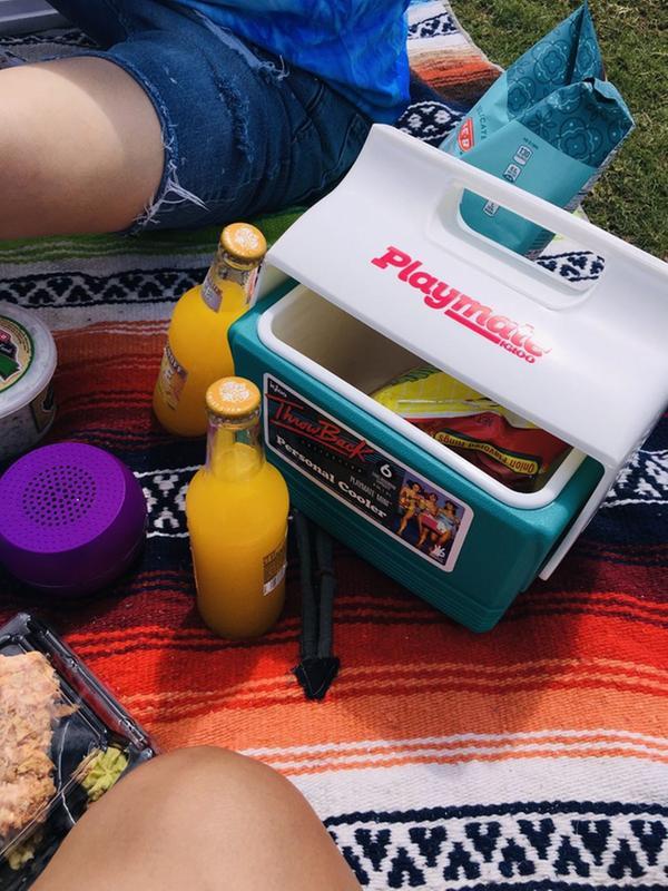 Igloo 4 qt Mini Playmate Personal Cooler Bundle - Red with Ice Block and Tumbler