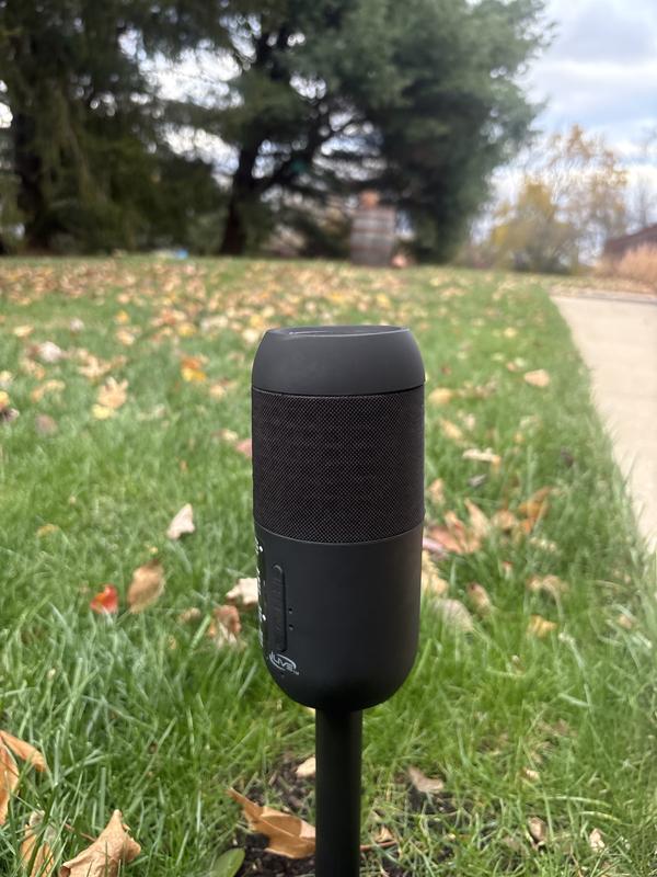 Photo - commentaire 6.