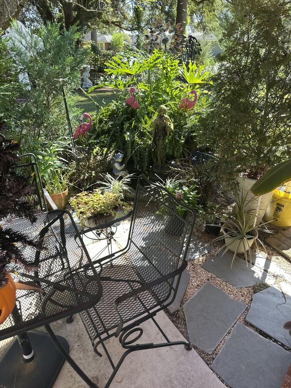 1st photo when pairing, the rest are of the garden, can you find the speakers?