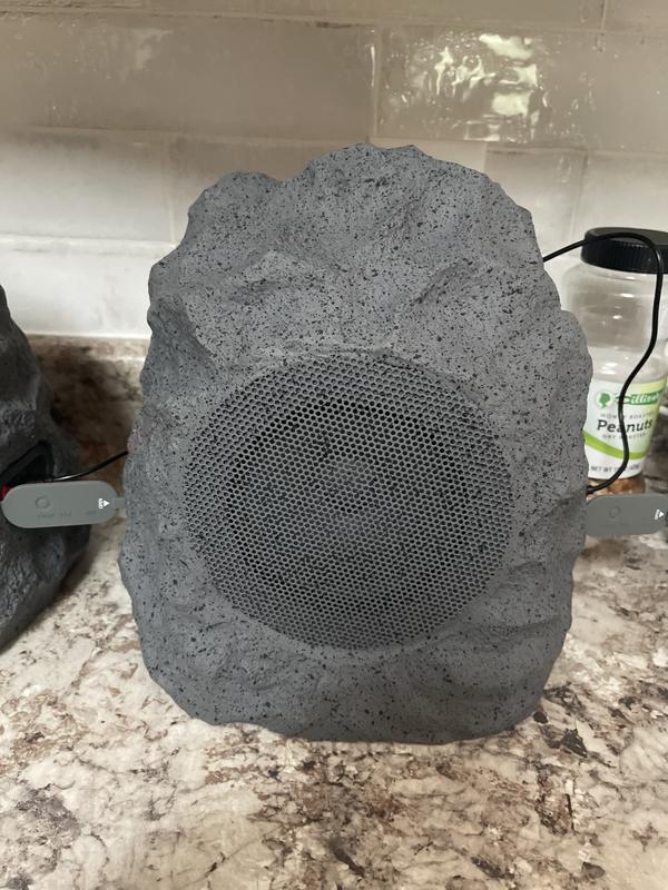 Speaker