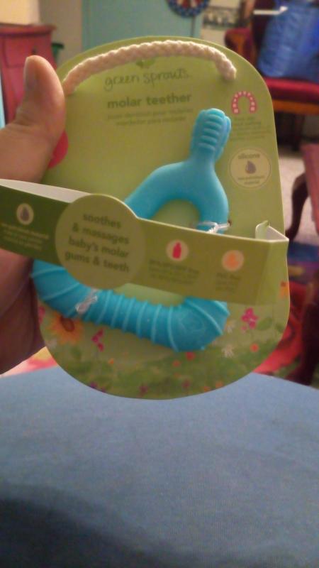 green sprouts molar teether
