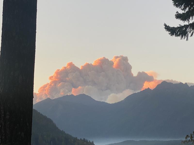 Customer photo 4 of 6. Click to open full size image.