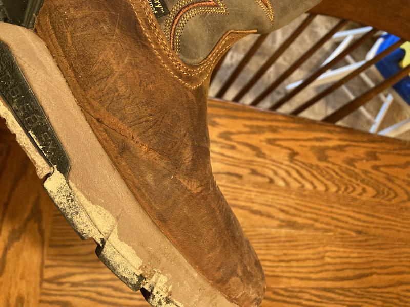 Two Harbors | Irish Setter