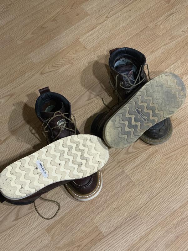 Ashby | Irish Setter