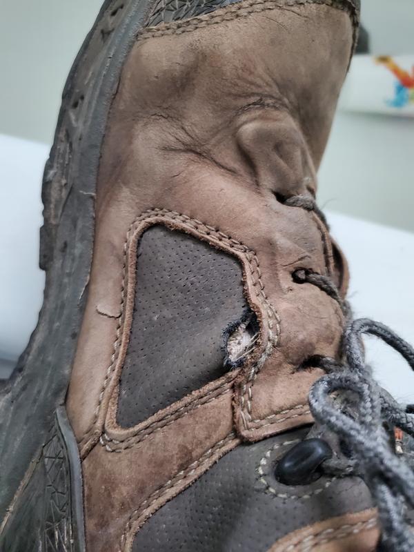 Kasota | Irish Setter