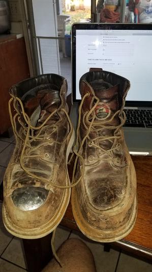 irish setter boots 83606
