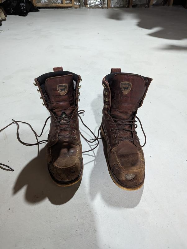 Wingshooter ST | Irish Setter