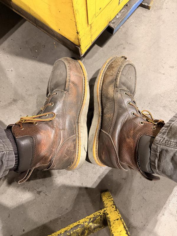 セレビィV SA Ashby | Irish Setter
