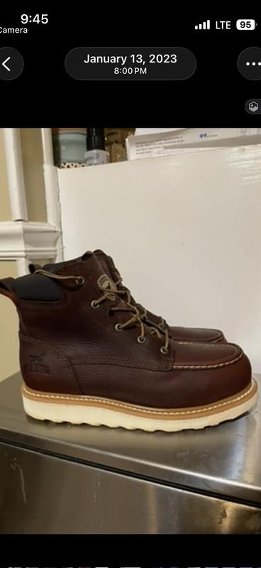 Ashby | Irish Setter
