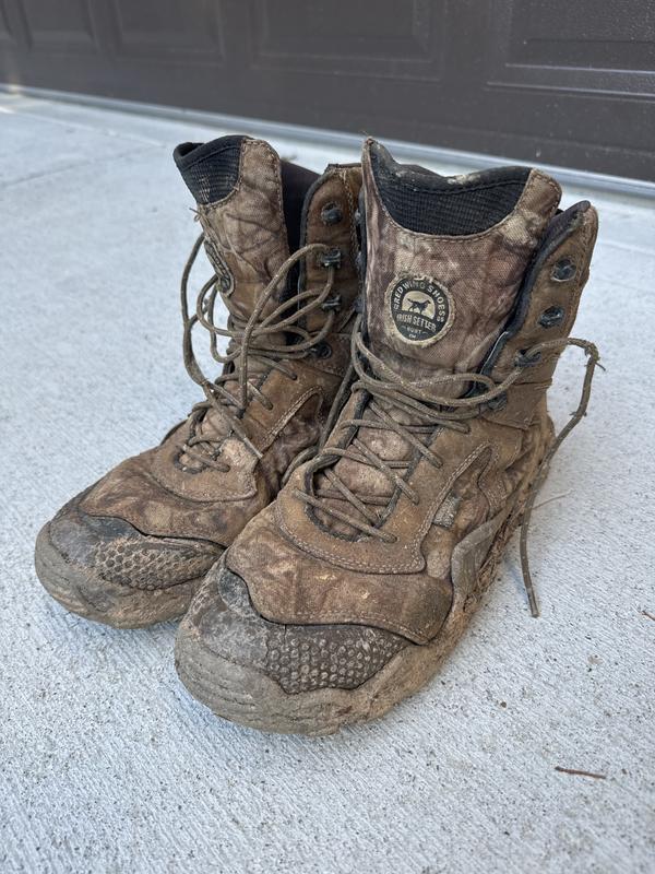 Kasota | Irish Setter