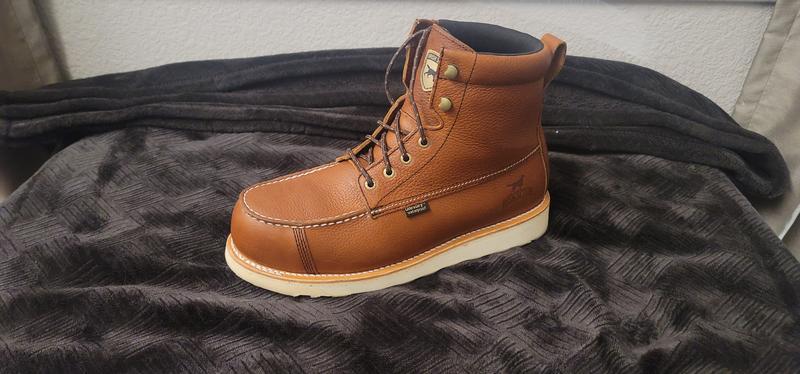 irish setter 896 sale