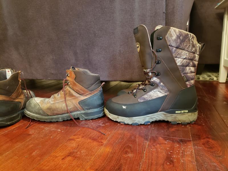 Irish setter hotsell ice trek