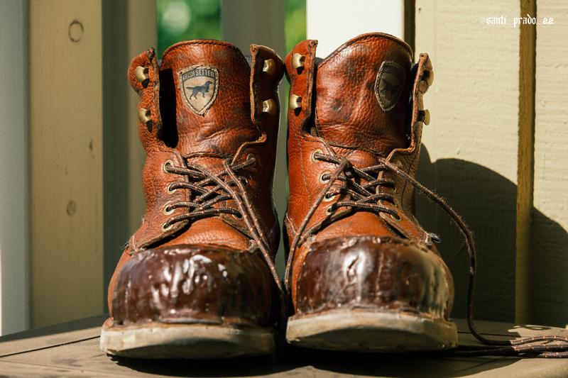Wingshooter ST | Irish Setter