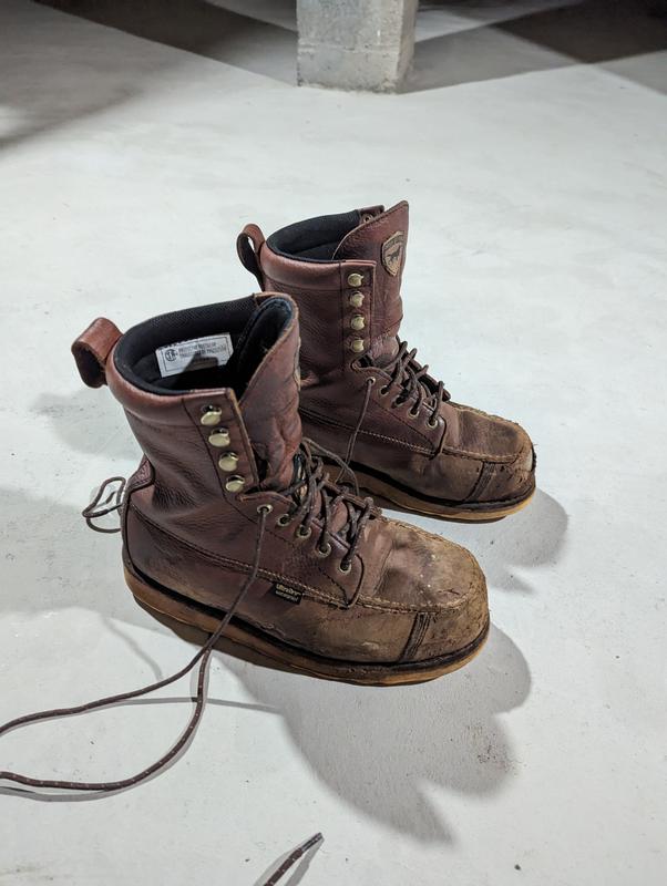 Wingshooter ST | Irish Setter