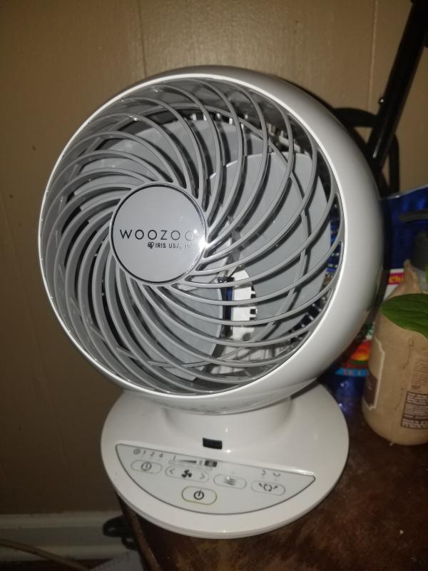 Woozoo!