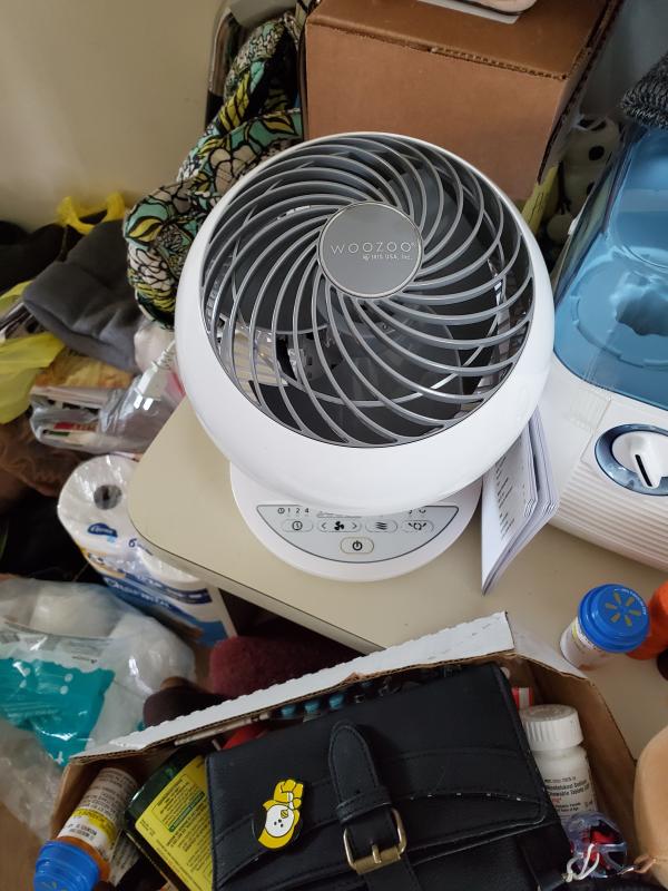 The fan