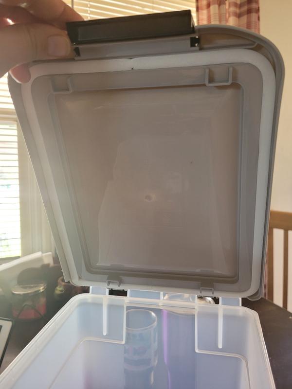 Review photo 6.