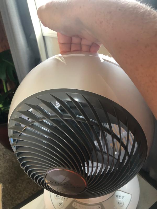 The back of the globe head has a handy area to use as a handle for moving the fan to other room locations