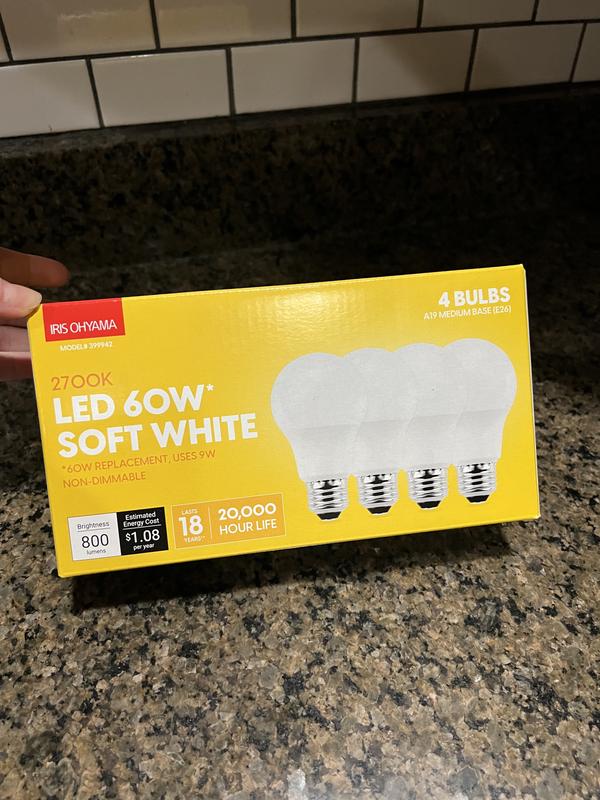 Light bulbs