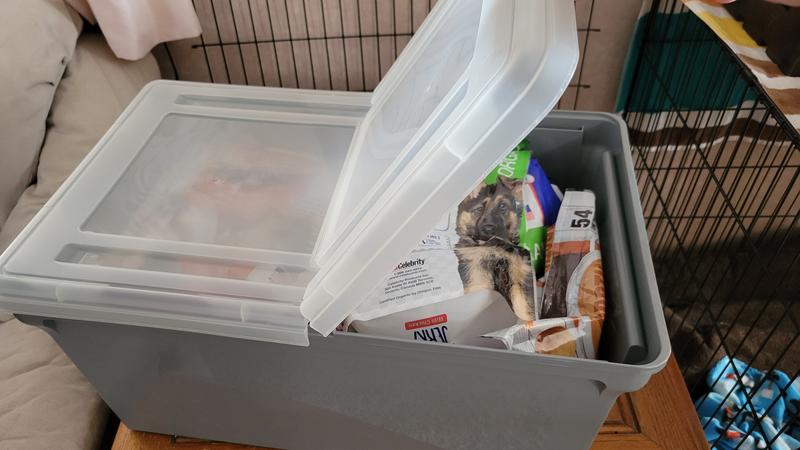 IRIS Wing-Lid File Organizer Box - one end open