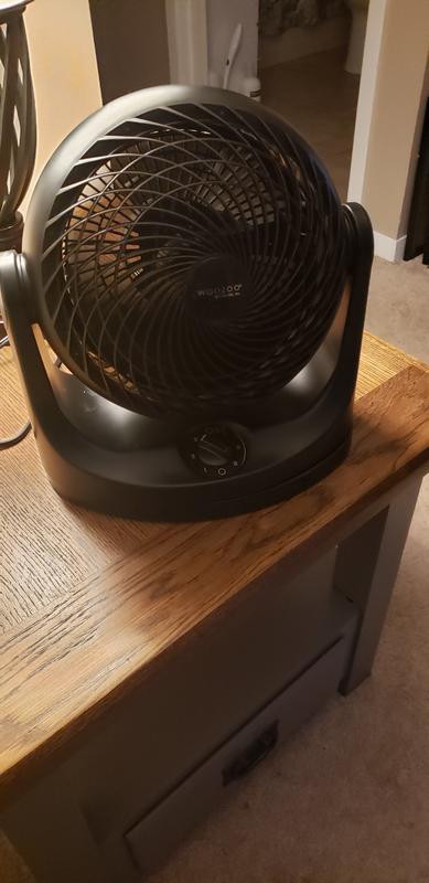 Love This Fan!