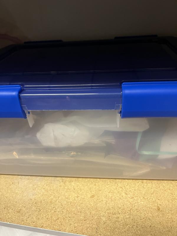 6.5 Gallon Clear Plastic Storage Boxes with Blue Lid, Pack of 4