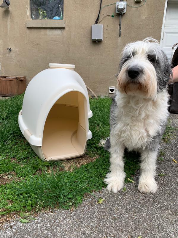 Dog igloo hotsell vent cap