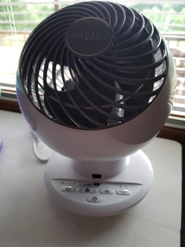 Fan
