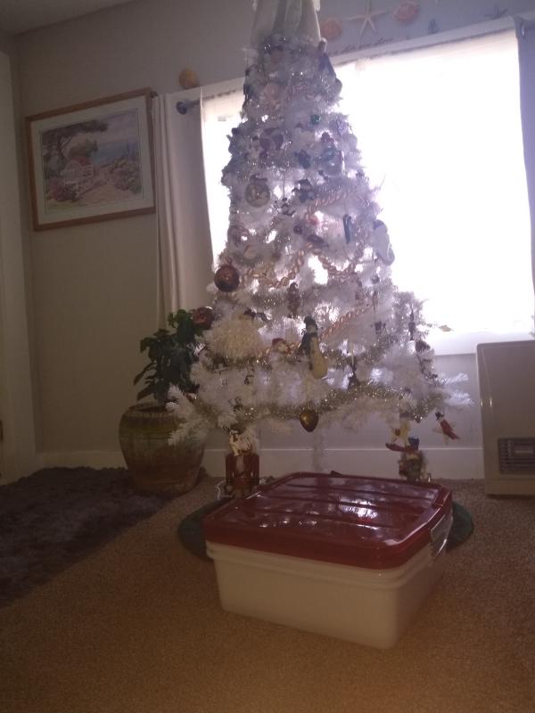 Perfect for my decorations.