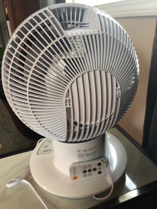 Back view of the oscillating globe fan