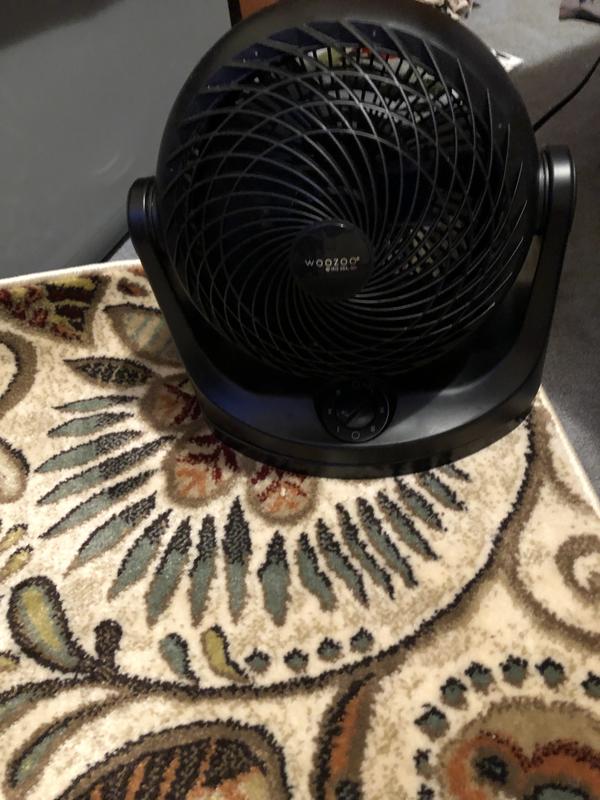 My new fan