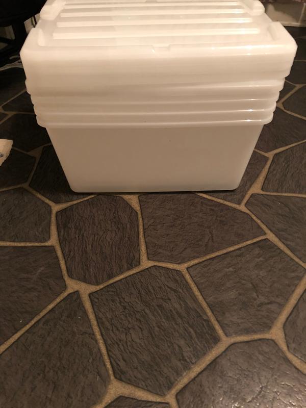 45 Quart Plastic Storage Box with Buckles, Pearl, Set of 4,Strong