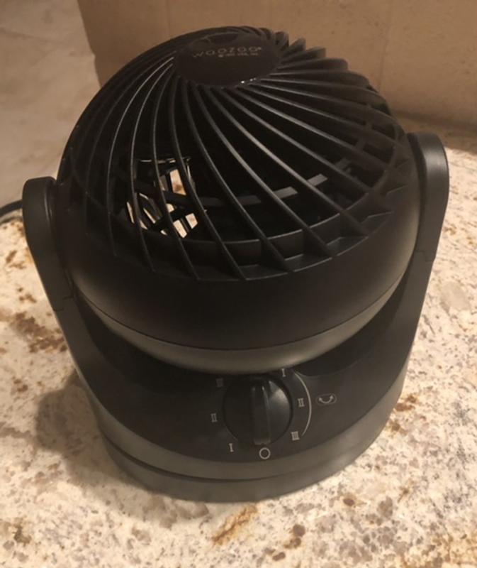 Head Moves Up Or Down