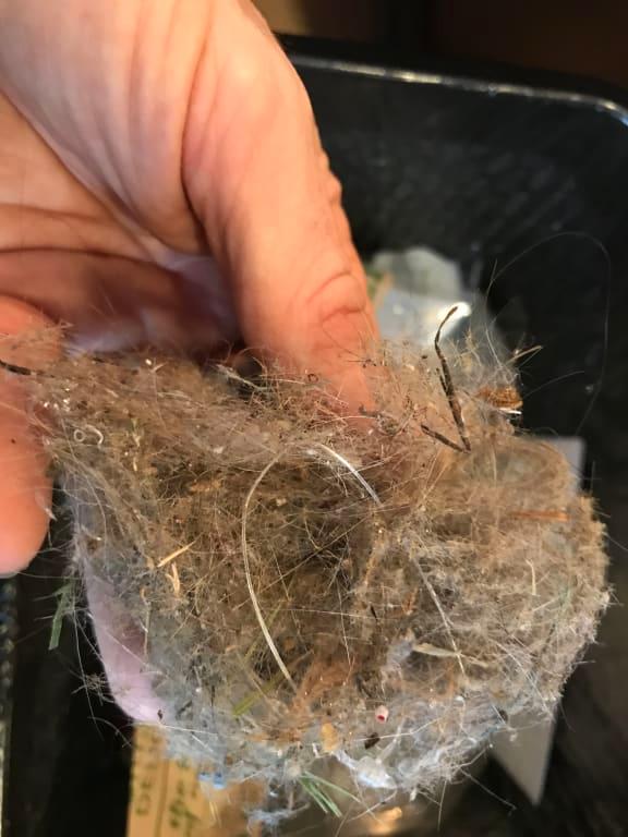 This is how much dirt it picked up