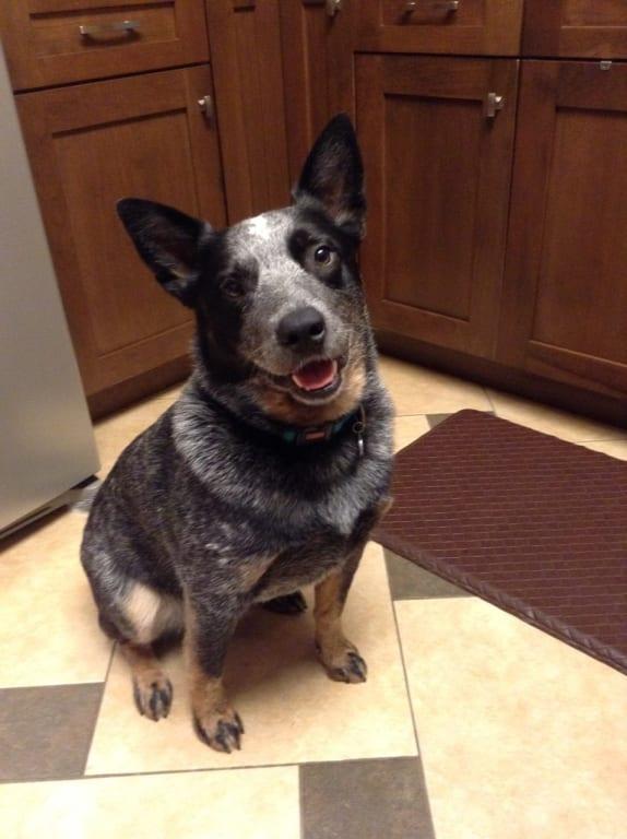 One of the 3 hair donors;)