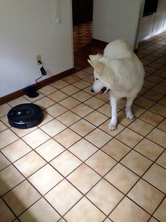 Photo - commentaire&nbsp;7.