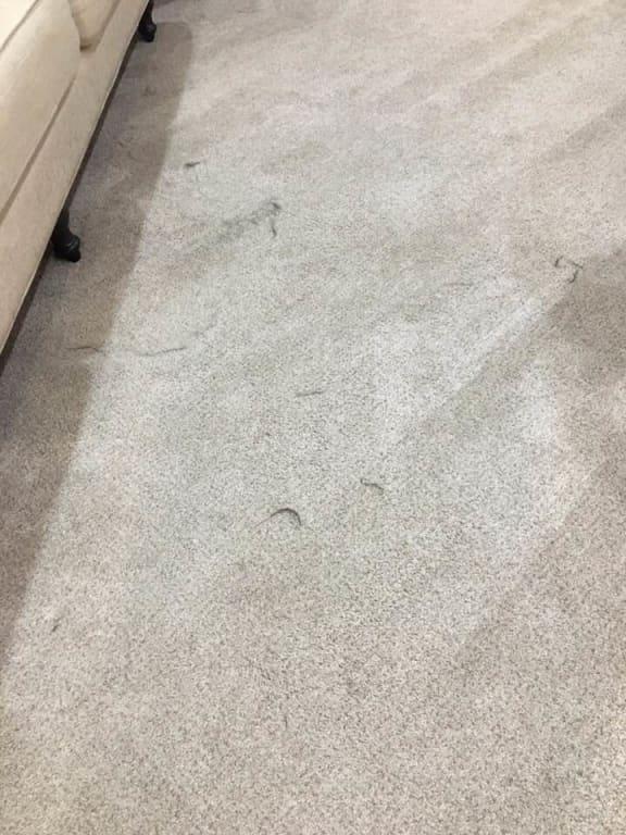 Just used my iRobot® Roomba® i7- typical results